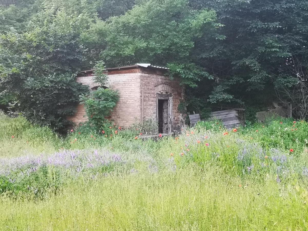Gaestehaus Am Landgut Schonwalde-Glien Εξωτερικό φωτογραφία